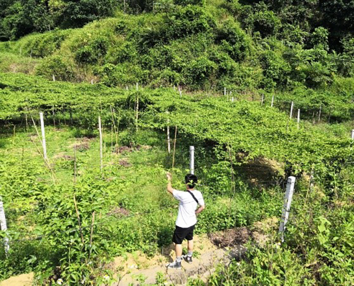 FUN乐天使官方网站