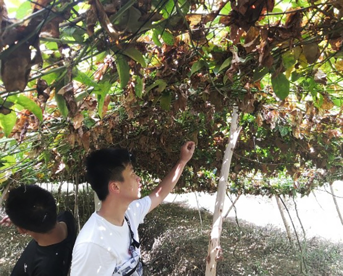 FUN乐天使官方网站